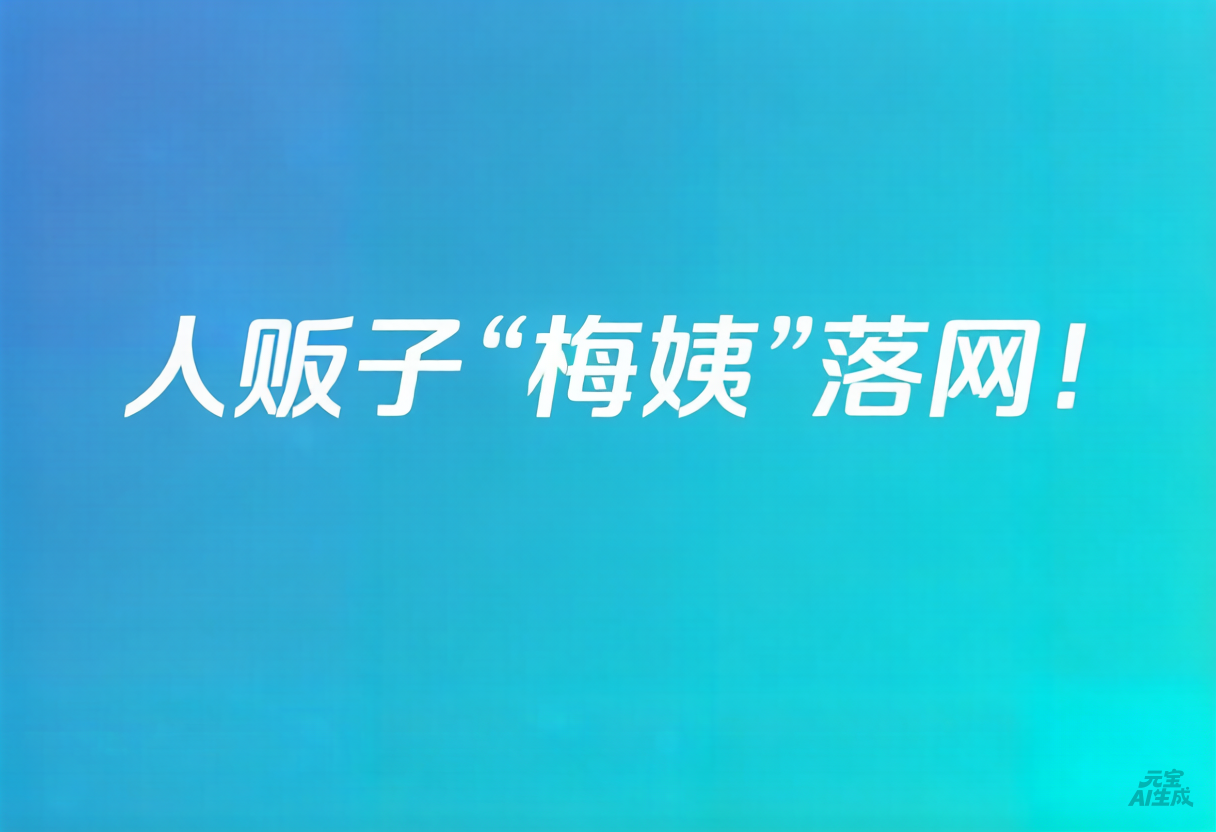 “梅姨”已经落网-浮光资源网